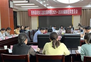 岳西县召开新一轮妇女儿童发展纲要编制征求意见座谈会