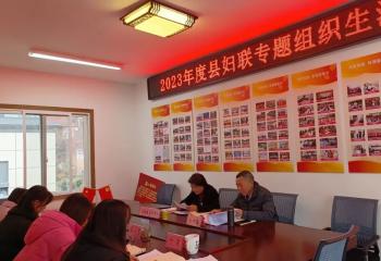 岳西县妇联党支部召开主题教育专题组织生活会